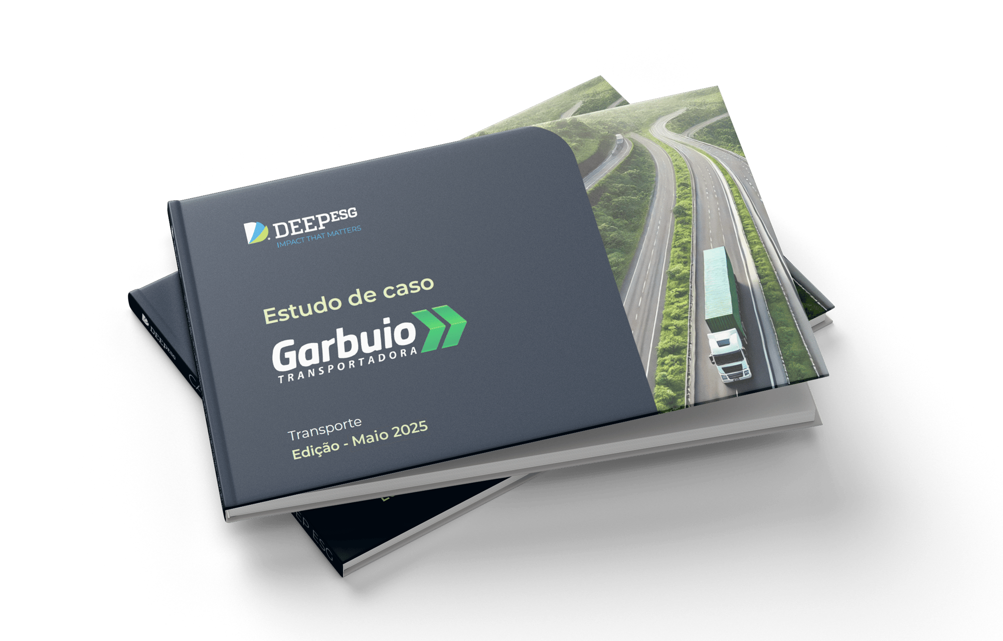 Mockup_case_Garbuio (1)
